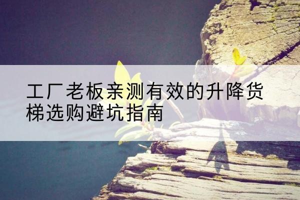 新宾升降货梯怎么选-工厂老板亲测有效的升降货梯选购避坑指南