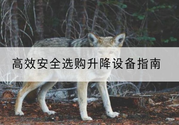 新宾升降货梯厂家推荐-*安全选购升降设备指南