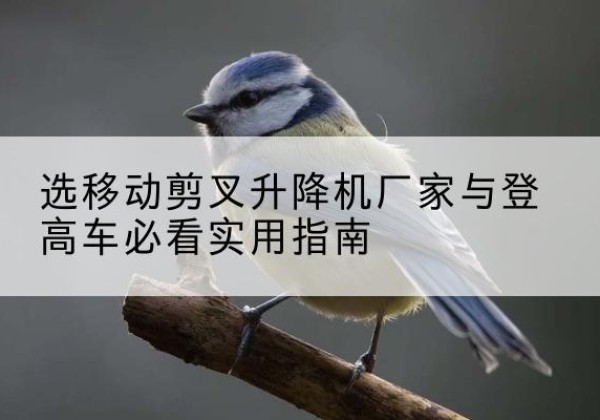 新宾电动升降机厂家-选移动剪叉升降机厂家与登高车必看实用指南
