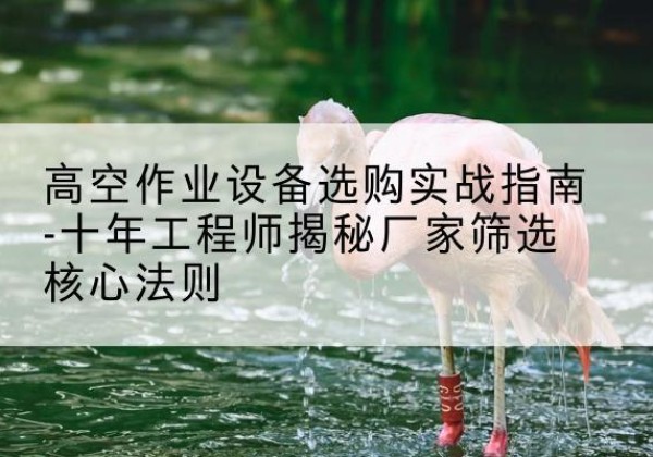 新宾剪叉式升降机厂家-高空作业设备选购实战指南-十年工程师揭秘厂家筛选核心法则